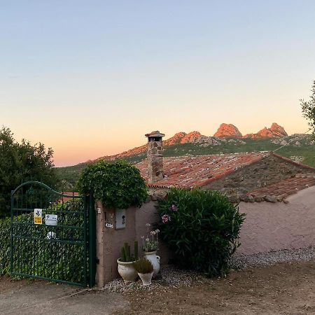 B&B La Tasgia Aggius Eksteriør bilde