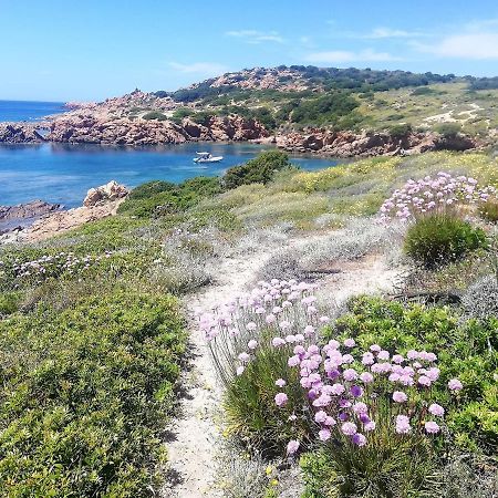 B&B La Tasgia Aggius Eksteriør bilde