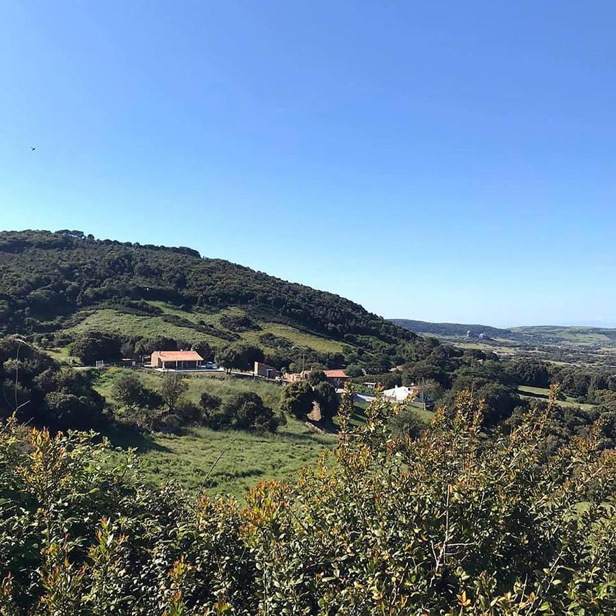 B&B La Tasgia Aggius Eksteriør bilde
