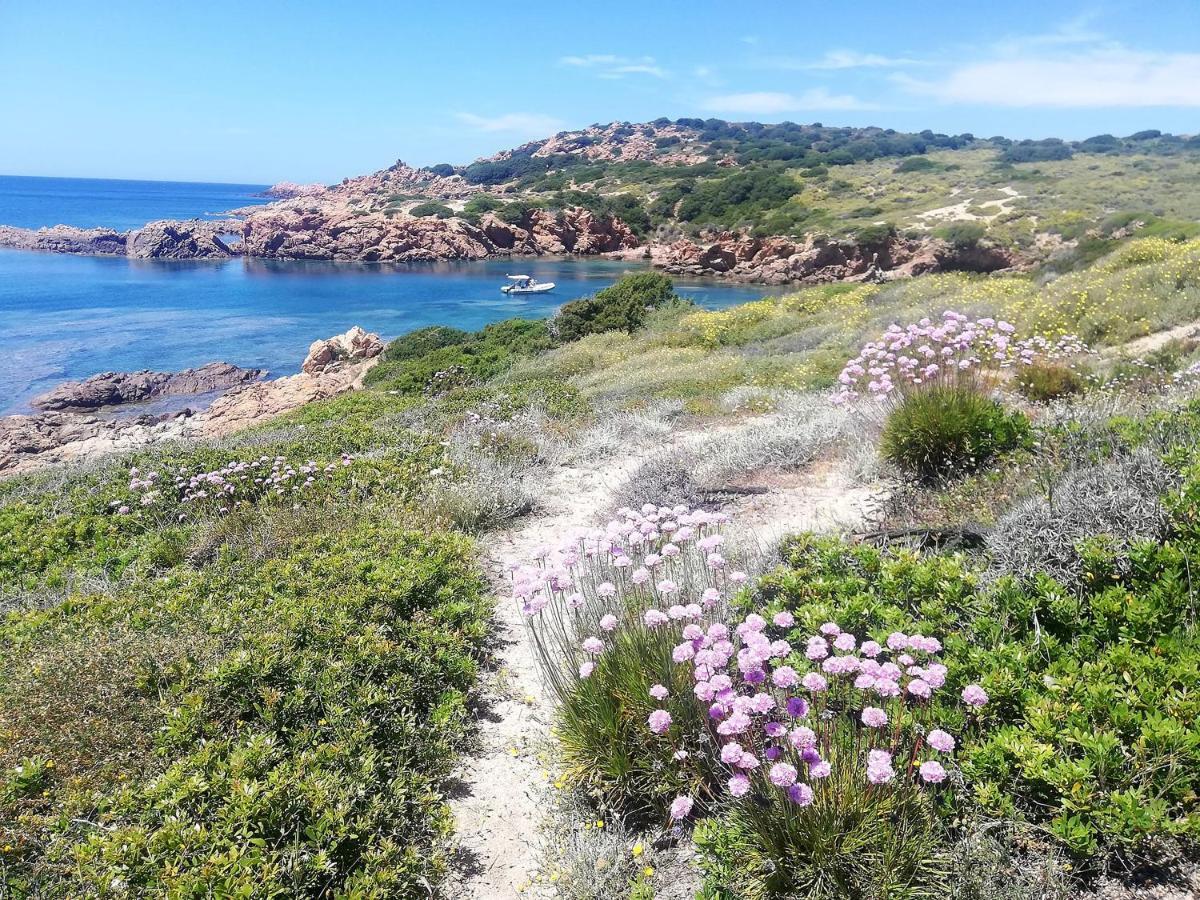 B&B La Tasgia Aggius Eksteriør bilde