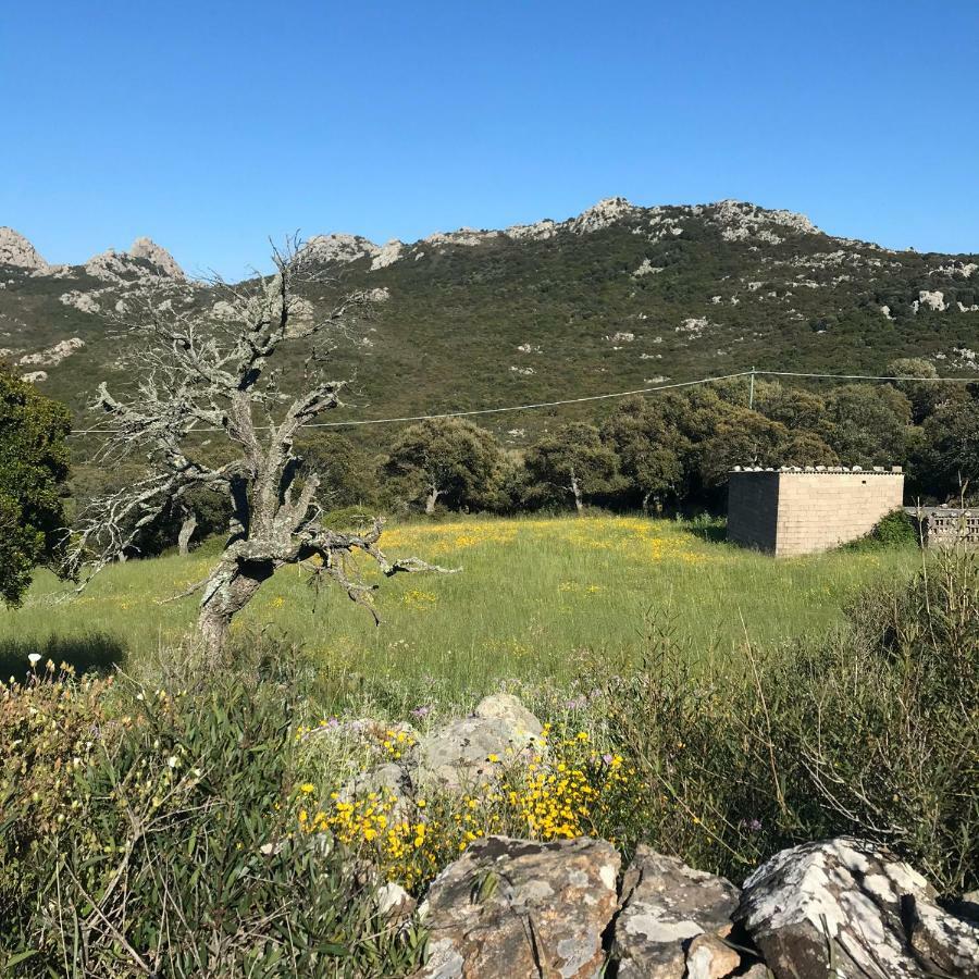 B&B La Tasgia Aggius Eksteriør bilde