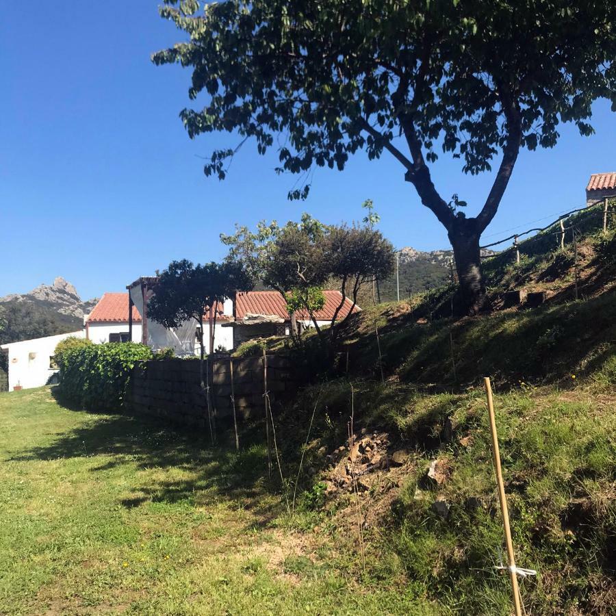 B&B La Tasgia Aggius Eksteriør bilde