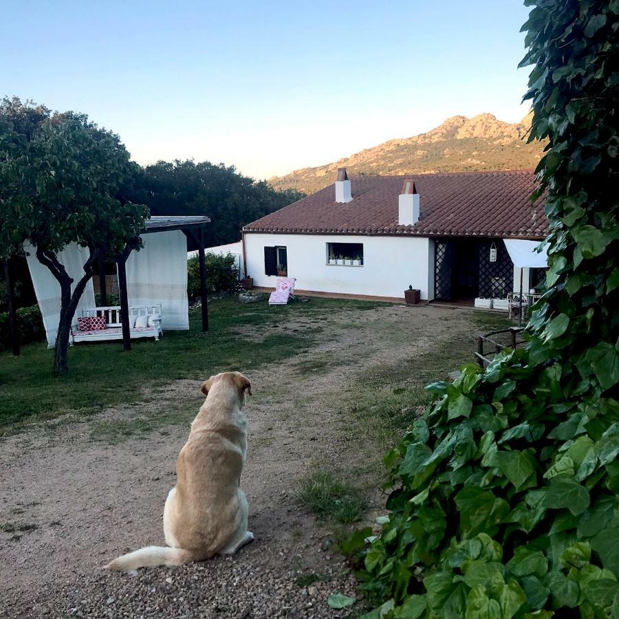 B&B La Tasgia Aggius Eksteriør bilde
