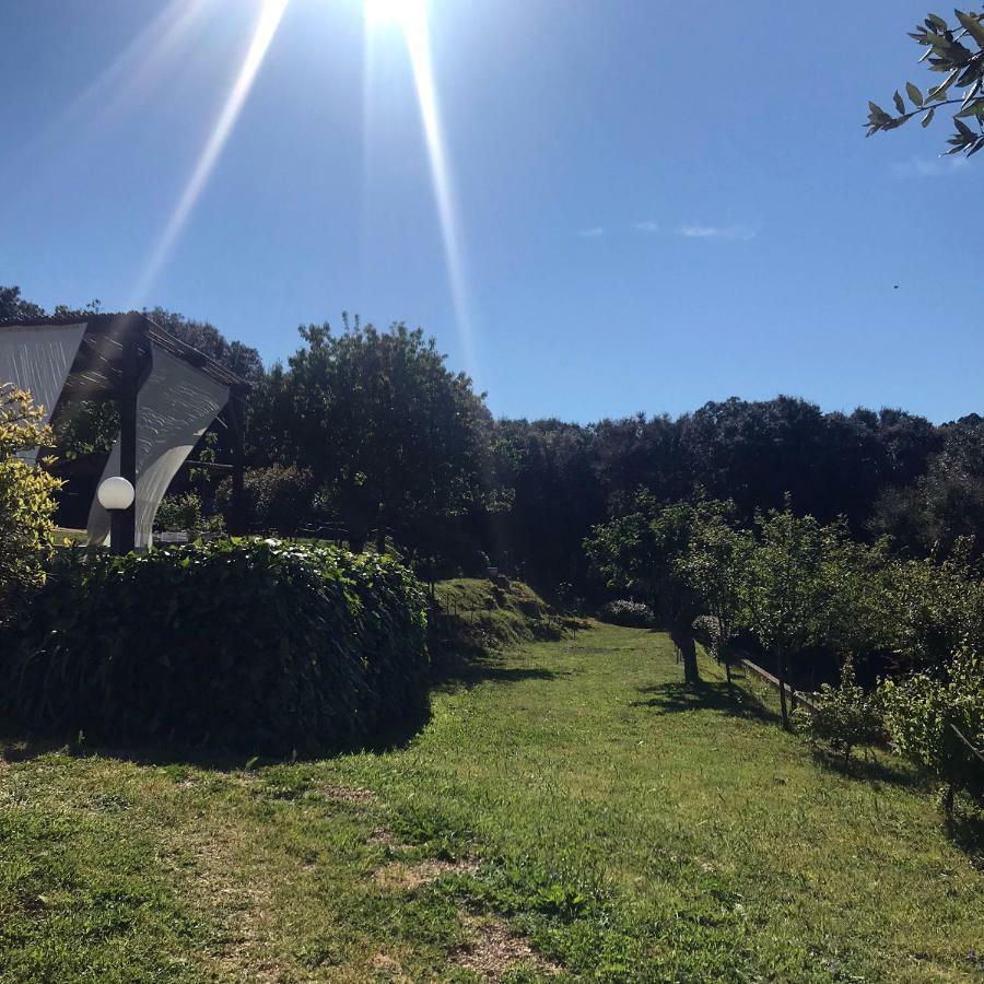 B&B La Tasgia Aggius Eksteriør bilde