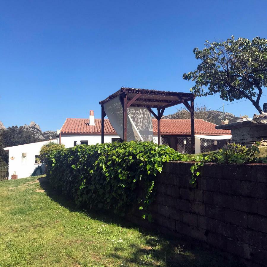 B&B La Tasgia Aggius Eksteriør bilde