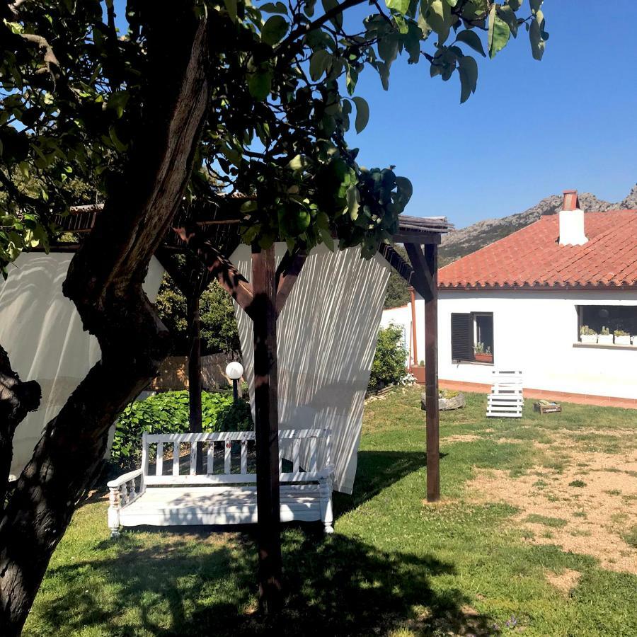 B&B La Tasgia Aggius Eksteriør bilde